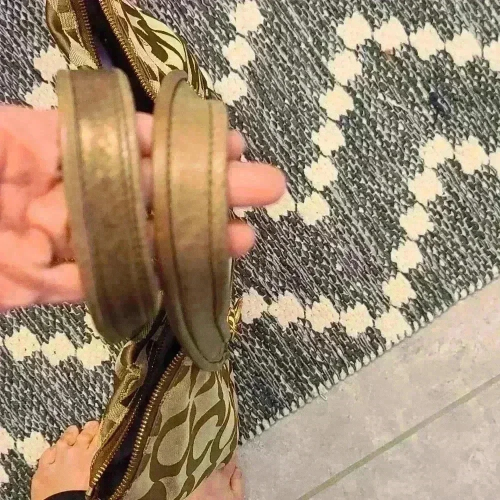 Poppy coach purse